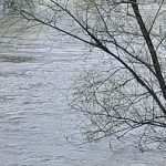 Vode Srpske: U Semberiji uvedene redovne mjere odbrane od poplava