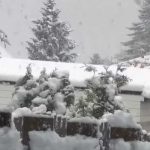 Region: U Srbiji na snazi četvrti stepen pripravnosti