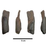 Svijet: Otkriveni najstariji drveni alati na svijetu; Stari više od 430.000 godina