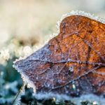 Prognoza: Evo kakvo nas vrijeme očekuje sutra