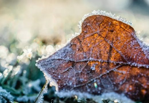 Prognoza: Evo kakvo nas vrijeme očekuje sutra