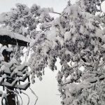 Opet snijeg: Očekujte novi pad temperature