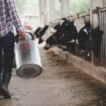 Pet do dvanaest: Mljekari na protestu u Banjaluci