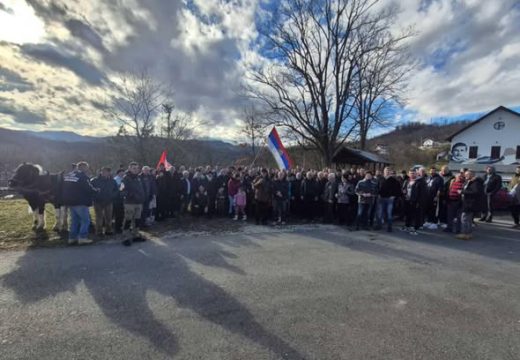 Lopare: Tradicionalna sječa badnjaka u Priboju