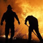 Detalji požara u Bijeljini: Gori farma “Romanija”, na terenu osam vatrogasaca