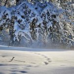 Nakon snijega stiže ledeno jutro: U BiH i do -25 stepeni