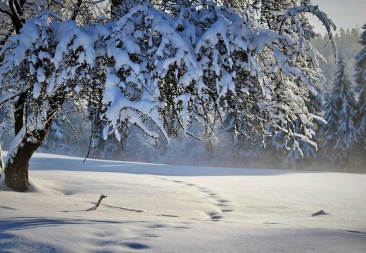 Nakon snijega stiže ledeno jutro: U BiH i do -25 stepeni