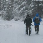 Kako ljudsko tijelo preživljava ekstremne hladnoće: Savjeti za zimu koje bi svi trebalo da znamo