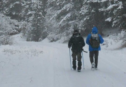 Kako ljudsko tijelo preživljava ekstremne hladnoće: Savjeti za zimu koje bi svi trebalo da znamo