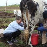 RS: Mljekari poručili; Sastanak ili ostavka Minića