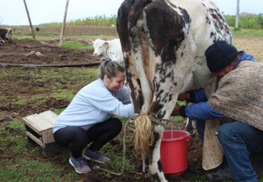 RS: Mljekari poručili; Sastanak ili ostavka Minića