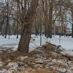 Posljedice snježnih padavina u Gradskom parku: Polomljeni stubovi i grane na drveću (Foto)