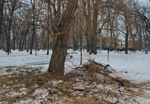 Posljedice snježnih padavina u Gradskom parku: Polomljeni stubovi i grane na drveću (Foto)