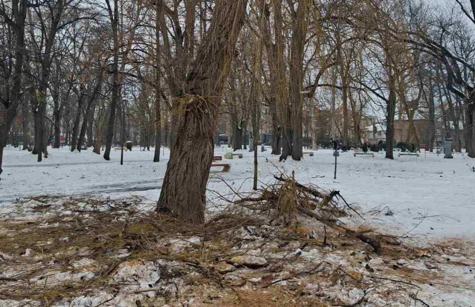 Posljedice snježnih padavina u Gradskom parku: Polomljeni stubovi i grane na drveću (Foto)