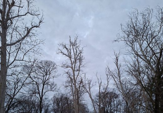 Vremenska prognoza: Kakvo nas vrijeme očekuje sutra