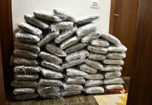 BiH: U stanovima krili 39 kilograma droge, vrijedne 500.000 KM