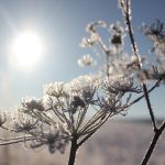 Od snijega do zraka sunca: Vrijeme danas donosi sve boje zime