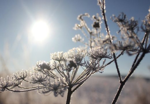 Od snijega do zraka sunca: Vrijeme danas donosi sve boje zime