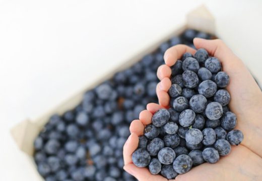 Evo odgovora: Da li su zamrznute borovnice zdravije od svježih?