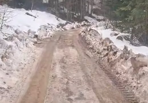 RS: Bodiroga uputio poziv vlasti; “Prođite ovim putem” (Video)