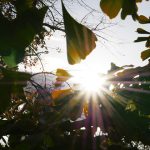 Sunčni periodi, uz prolazno naoblačenje i padavine: Temperatura do 12 stepeni