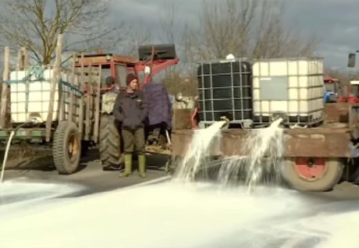 Ibarskom magistralom teče mlijeko: Poljoprivrednici blokirali put (Video)