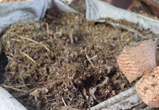 Novi detalji o akciji policije u Bijeljini: Pronađeno više od 50 kg marihuane