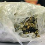 Policija: Oglasili se iz MUP-a o zapljeni marihuane kod Bijeljine