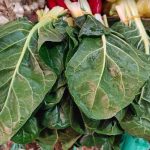 Špinat 10 KM, a junetina 30 KM: Građani BiH plaćaju vrtoglave cijene hrane