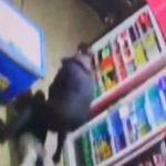 Srbija: Gradonačelnik Niša spasio ženu; Skočio na napadača koji je imao mačetu (Video)