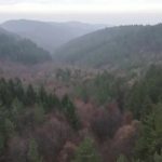 RS: Bivšem direktoru ŠG “Teslić” devet mjeseci zatvora zbog mita od 5000 KM