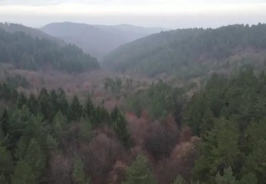 RS: Bivšem direktoru ŠG “Teslić” devet mjeseci zatvora zbog mita od 5000 KM