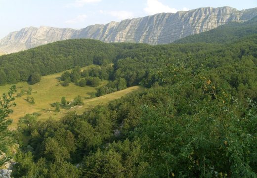 Zaštićeno područje: Srpska dobija novi park prirode