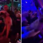 Podnijete tri krivične prijave zbog jagnjeta na bini: Desingerica na meti javnosti zbog skandaloznog nastupa u Vranju (Video)