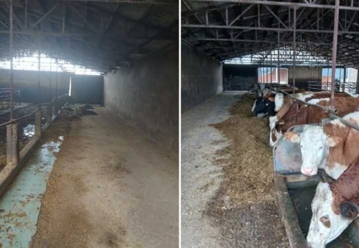 Farma iz Gradiške ugasila proizvodnju: Krave prodali kolegi u FBiH (Foto)