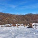 Početak februara na Majevici: Majevički prelijepi pejzaži (Foto)