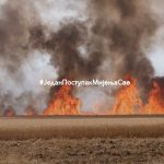 Prevencija je ključ: Kako spriječiti požare na otvorenom?