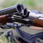 Prijeti mu zatvorska kazna: Ubio mačku hicem iz lovačke puške