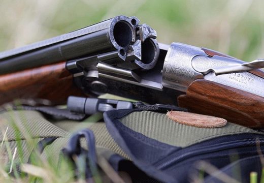 Prijeti mu zatvorska kazna: Ubio mačku hicem iz lovačke puške