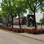 Novo ruho: Ulica u Bijeljini dobija 1.000 ruža