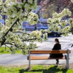 Prognoza: Danas sunčano uz razvoj oblačnosti, temperatura do 21 stepen