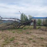 Nagla promjena vremena: Hercegovinu će pogoditi najjača bura ove godine