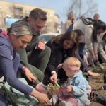 Uređenje grada: U Bijeljini posađen ružičnjak sa 1.000 ruža (Video)