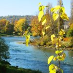 Temperatura do 20 stepeni: Danas u većini krajeva sunčano