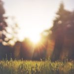 Ujutro vedro, ali prohladno: Sutra sunčano vrijeme sa temperaturom do 20 stepeni