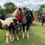 Prijave u toku: Kotlićijada i fijakerijada u Velikoj Obarskoj 5. aprila