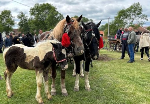 Prijave u toku: Kotlićijada i fijakerijada u Velikoj Obarskoj 5. aprila