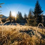 Danas toplo: Povremeno se očekuju kiša i pljuskovi