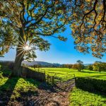 Proljeće nam je sve bliže: Danas pretežno sunčano i natprosječno toplo