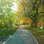 Sutra umjereno oblačno: Očekuje nas ugodnih 20 stepni